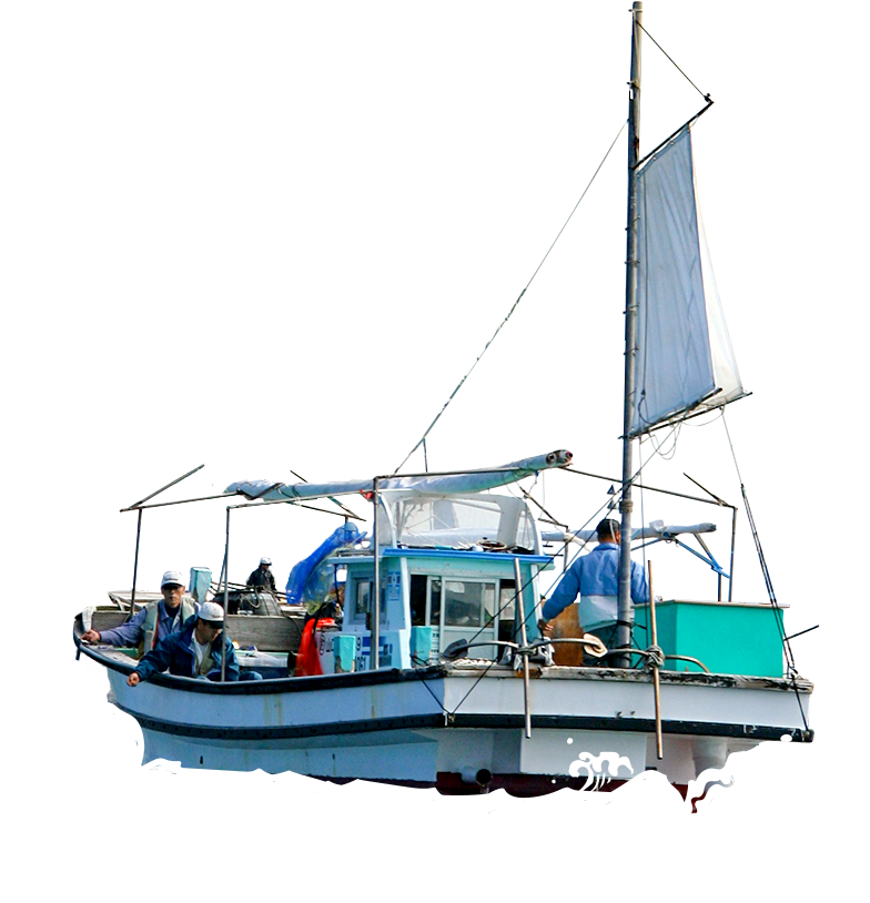 観光漁船